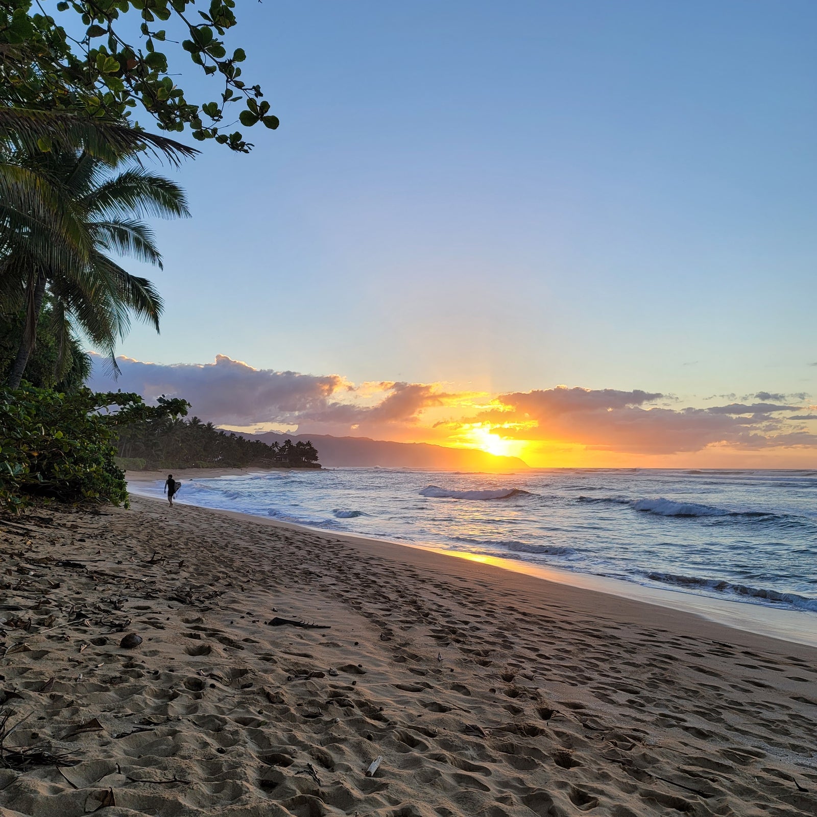 Paradise